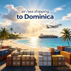 Servicio <span class=keywords><strong>de</strong></span> Transporte Aéreo a Aeropuerto <span class=keywords><strong>de</strong></span> <span class=keywords><strong>Santo</strong></span> <span class=keywords><strong>Domingo</strong></span>, Maquinaria <span class=keywords><strong>de</strong></span> Construcción <span class=keywords><strong>de</strong></span> Gran Tamaño - Product Image 3