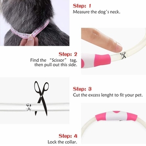Grosir kalung LED isi ulang USB-C kerah anjing kucing berpendar plastik elegan untuk keamanan malam tersedia ukuran besar kecil