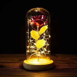 Lampu Led mawar emas mempesona hadiah Hari Valentine buatan 24k bunga dekorasi kubah kaca mawar Foil emas dengan lampu
