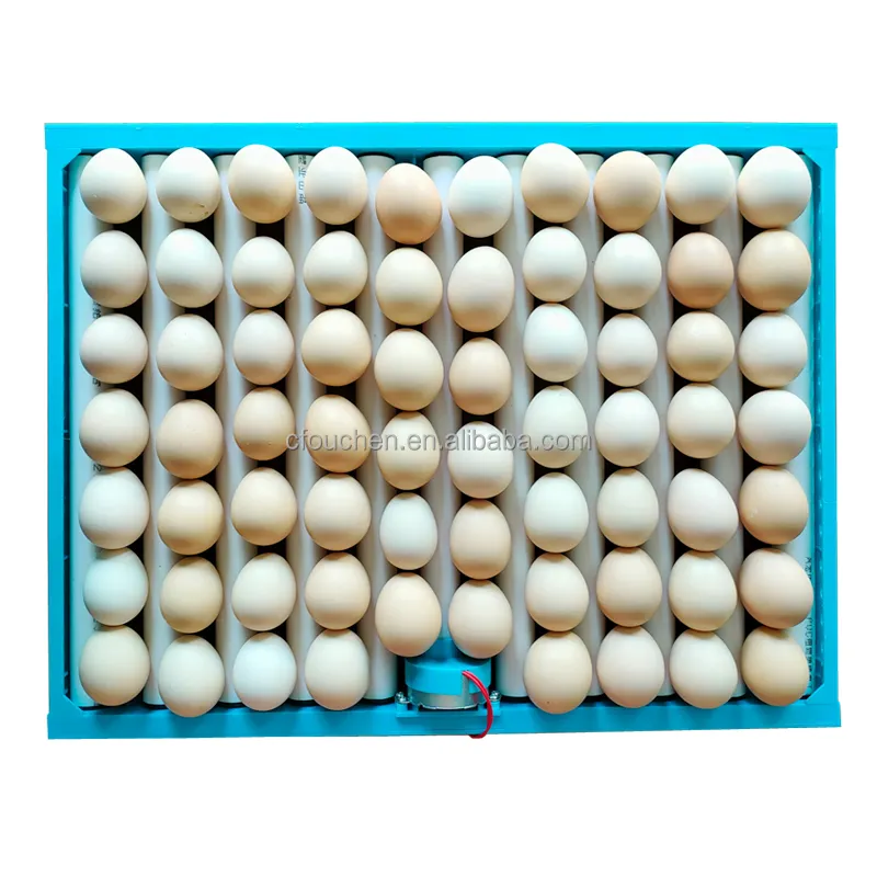 OUCHEN, высококачественные поставщики яиц, лоток для яиц для инкубатора, пластиковые лотки для яиц, растения