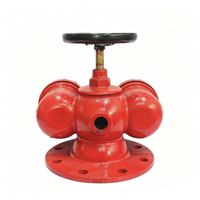 Adaptor Pompa Kebakaran Multiguna di Atas Tanah Wanlian SQD100-1.6, DN100, Besi Ulet Berlapis Bubuk