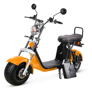 fat tire electric scooter with big seat citycoco EEC COC
