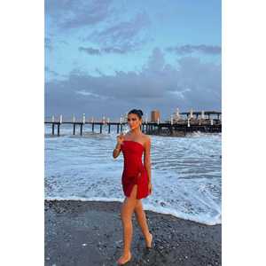 Mini robe de cocktail avec détail rose rouge - Product Image 1