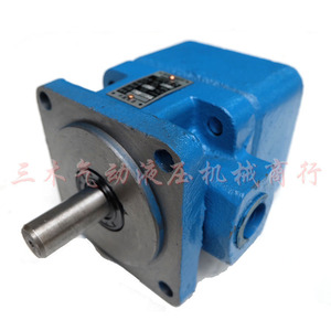 Bomba de aceite de baja presión de desplazamiento fijo con paletas Yb1, bomba hidráulica Yb1 32, Yb1 40, Yb1 50 - Product Image 5