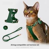 Harnais pour chien, laisse pour chien, accessoires pour animaux de compagnie, accessoires pour chiens, accessoires pour chats, produits pour animaux de compagnie, fournitures pour animaux de compagnie, étui en cuir pour traceur