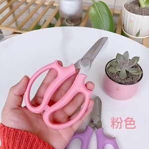 Ciseaux de jardinage en acier inoxydable de haute qualité, ciseaux de fleuriste colorés, ciseaux floraux, outils de taille de fleurs pour le jardinage - Product Image 2