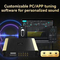 Prosesor Audio DSP Mobil 12 Saluran Desain Kustom, Perangkat Lunak PC, Kontrol Jarak Jauh Aplikasi Seluler Untuk Modifikasi Audio Mobil