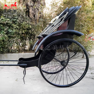 Qianzhimei OEM Nouveau Tricycle <span class=keywords><strong>Taxi</strong></span> Chinois pour le Transport de Passagers, Spécial pour le Tournage de Films et de Télévision - Product Image 6