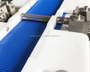 Machine horizontale automatique de trancheuse de poitrine de poulet d'acier inoxydable nouveau moteur de trancheuse de viande de coupe de saumon d'utilisation de restaurant - Product Image 4