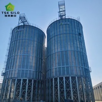 Silo à fond boulonné pour usine de traitement des céréales, stockage des semences avec conception de capacité flexible