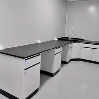 Table de laboratoire en métal moderne et durable avec évier, armoire à 4 tiroirs, revêtement en poudre époxy, acier inoxydable, poste de travail pour laboratoire de chimie
