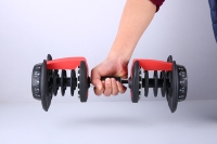 Offre directe d'usine de haltères en gros : Ensemble d'haltères réglables de 24 kg pour salle de sport à domicile, prix abordable