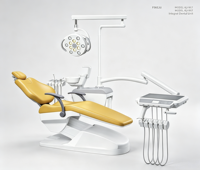 Fauteuil dentaire entièrement électrique avec commande de valve, égouttoir chauffant, visualiseur de radiographie et lampe opératoire LED