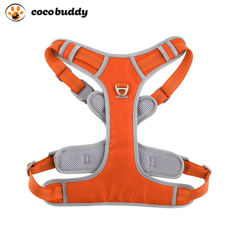 couleur orange