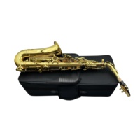 SEASOUND OEM High Quality Cheap Gold Alto Saxophone JYAS102