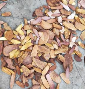 Yamaimo Dioscorea <span class=keywords><strong>japonica</strong></span> racine naturelle séchée rhizome d'igname japonaise pour herbe - Product Image 4