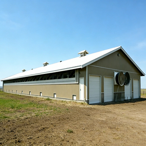 Bâtiment préfabriqué en métal à <span class=keywords><strong>construction</strong></span> rapide et économique pour poulailler, abri en structure acier pour élevage <span class=keywords><strong>de</strong></span> porcs et <span class=keywords><strong>de</strong></span> vaches, <span class=keywords><strong>construction</strong></span> <span class=keywords><strong>de</strong></span> ferme - Product Image 1