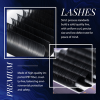 Extensions de cils individuels PBT faits main en forme de W 3D, volume complet facile à poser, effet cachemire léger, greffe de cils 12mm naturel