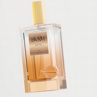 Flacon de parfum vide personnalisé, haute transparence, 50 ml, 100 ml, flacon de parfum en verre rechargeable avec bouchon, diffuseur d'arômes de boutique