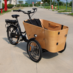 Tricycle électrique à assistance pédale 25 km/h, à chargement frontal, 3 roues, 4 places, vélo cargo électrique pour adultes et personnes âgées - Product Image 1