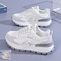 Baskets pour femmes et dames, respirantes, à semelle épaisse, style Dad Shoes, polyvalentes, pour l'été, vente en gros, pour la marche en extérieur, antidérapantes, durables