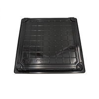 JY-81213 Einweg-Kunststoff-Sushi-Box mit klarem Deckel Kunststoff-Lebensmittel-Verpackungs behälter Quadratische Kunststoff-Sushi-Tablett