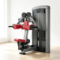 Máquina Comercial de Elevación Lateral con Pesas para Gimnasio, Equipo de Entrenamiento de Hombros y Deltoides