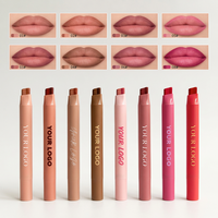 Crayon à lèvres mat longue tenue ultra pigmenté, texture lisse, personnalisable avec logo, végétalien, pour la vente en gros