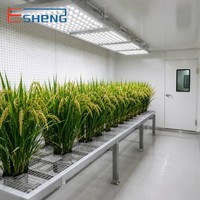 Phytotron Automatisé pour Riz, Contrôle de Température et d'Humidité, Fonctions de Système Extensibles, Fabricant de Chambres de Culture Végétale