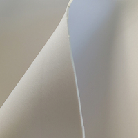 Tissu en néoprène SBR caoutchouc extensible blanc beige Factory Skypro, doux, respirant, élastique, durable, épaisseur 1-60 mm, conforme ROHS/REACH