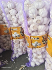 Vente chaude 5cm-6cm <span class=keywords><strong>Ail</strong></span> chinois frais Organique <span class=keywords><strong>Tête</strong></span> crue Inodore Violet Blanc Rouge Maille Direct Grossiste Stockage <span class=keywords><strong>à</strong></span> sec Premium - Product Image 6