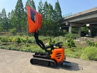 Antspower 2026 Mini-Raupenlader Hydraulischer Diesel-Mini-Kipper Transporter für Landwirtschaft Haushalt Bauwesen