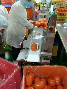 China Pesagem por atacado de alimentos industriais Balança de pesagem dinâmica Balança de pesagem online para itens pesados e volumosos