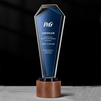 Trophée en cristal fantaisie personnalisé, vide, avec microphone, gravure, verre transparent irrégulier, plaque d'entreprise, étanche