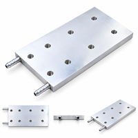 Plaque de refroidissement liquide en aluminium sur mesure usinée CNC pour équipement de serveur de centre de données
