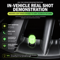 Tappi valvola pneumatico ABS universali luminosi al buio, antipolvere, per auto, bici e moto