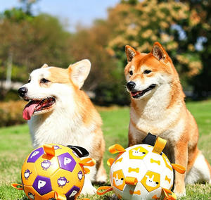 Jouet de football pour chien en TPU résistant aux morsures avec sangles en nylon, jouet interactif d'extérieur pour l'entraînement et la mastication, pour toutes les races de chiens - Product Image 1