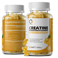 Gummies de créatine à marque privée BCAA Collagène L-Carnitine Pré/Post Entraînement Récupération Soutien Thyroïdien 1500mg par Portion 60 Gummies