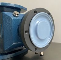 Vente en gros Pompes doseuses OEM pour liquide plastique PVC PVDF PTFE Pompe doseuse à piston