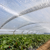 Film de couverture de serre agricole en LDPE, bâche plastique anti-goutte en rouleau pour la culture de tomates, concombres et poivrons