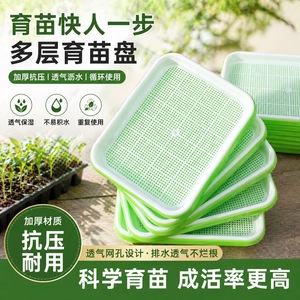 Barquettes de semis cryptées et renforcées pour légumes, pousses, hydroponie, pousses de pois, pousses de haricots et petits légumes - Product Image 4