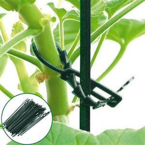 50pcs Adjustable Reusable Garden Cable <strong>Tie</strong> Plant Support Shrubs <strong>Tree</strong> Locking <strong>Tie</strong> - Product Image 2