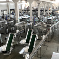 Automatische Hoge Capaciteit Mineraalwater Vruchtensap (Sinaasappel/Appel/Druif) Bottelende Vulling Capping Line Shandong Fabrikant