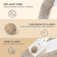 Litière pour chat en bentonite agglomérante sans poussière, forme boule, au thé vert, de qualité supérieure, facile à nettoyer et sans poussière