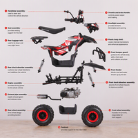 Quad Tao Motor 2027, nouveau modèle automatique avec frein à disque inversé, jantes de 7 pouces, 110 cm³, transmission par chaîne, ATV pour enfants avec certification CE EPA