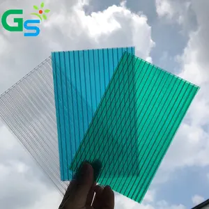 Sri Lanka Lexan Raw Material Price Polycarbonate Roofing Sheets 8mm Plastic Twin Wall Hollow Sheet For Home Building