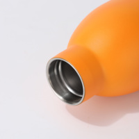 MIPPE Nouveau 500ml couleur unie sports de plein air thermos tasse 304 acier inoxydable petite bouche voiture portable lait bouteille d'eau personnalisée