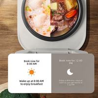 Cuisinière à riz multifonctionnelle avec cuve en céramique émaillée, panneau tactile, 5 litres, LED, idéale pour les grandes familles et les restaurants