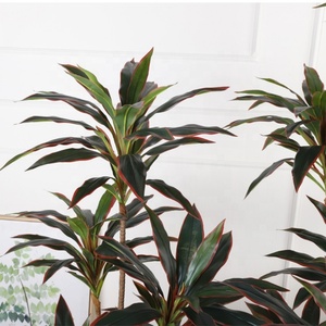 Fournisseur d'usine, bonsaï personnalisé, deux couleurs, plante artificielle, arbre en bois brésilien pour la décoration de la maison, du jardin et du paysage - Product Image 6