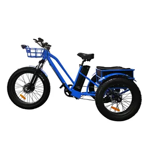 48V motorcycle motor 3 wheel tricycle with LCD panel